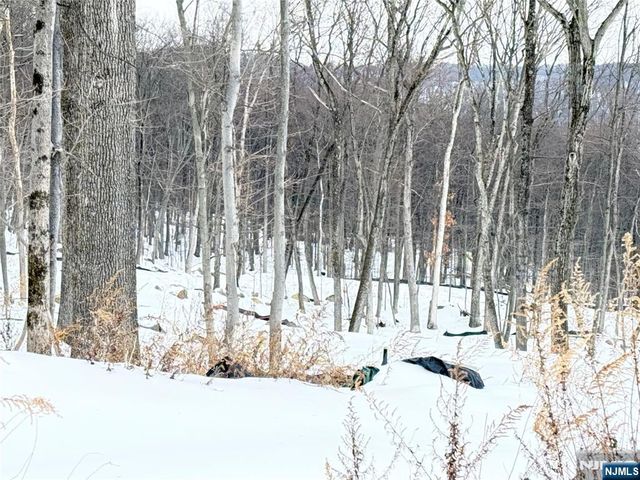 10 Bristol Ridge Road, Boonton Township, NJ 07005