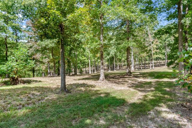 6011 Garrison Springs Rd, Franklin, TN 37064