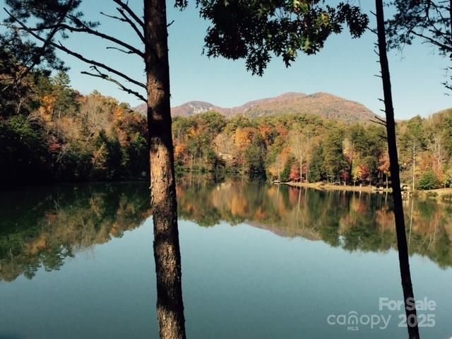 114 Birddog Boulevard, Lake Lure, NC 28746