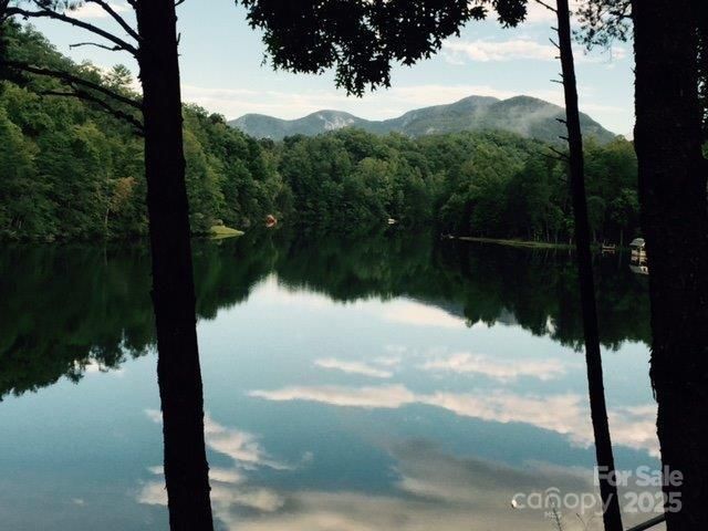 114 Birddog Boulevard, Lake Lure, NC 28746