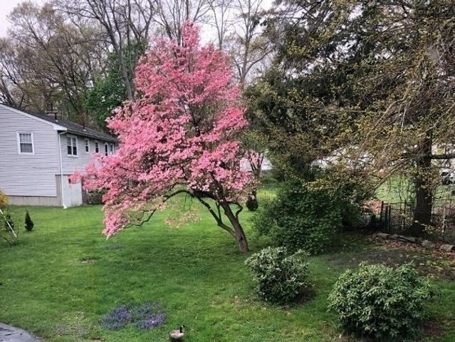 2 Simpson Dr, Framingham, MA 01701