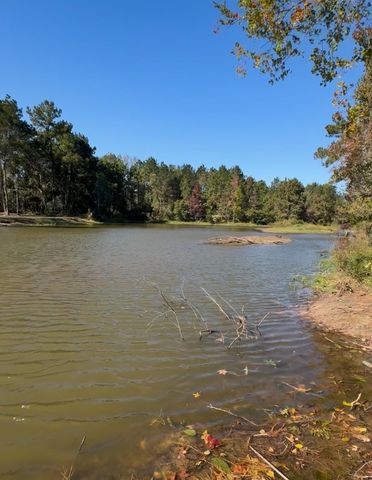 106 Ebner Lake Front Drive, Montgomery, TX 77316