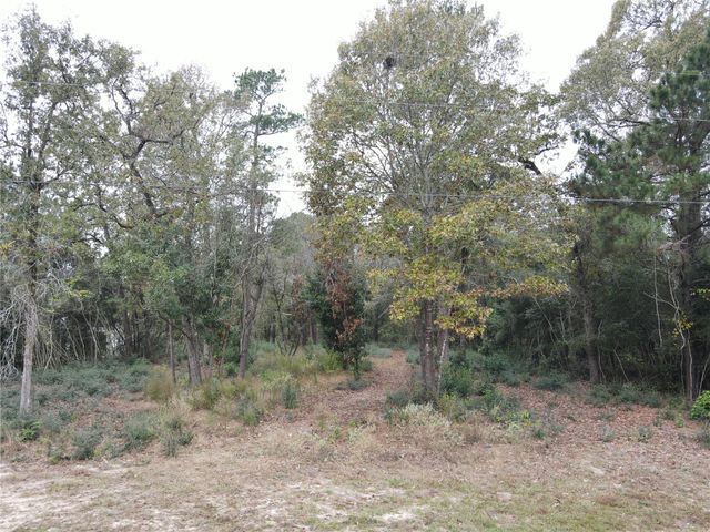 106 Ebner Lake Front Drive, Montgomery, TX 77316