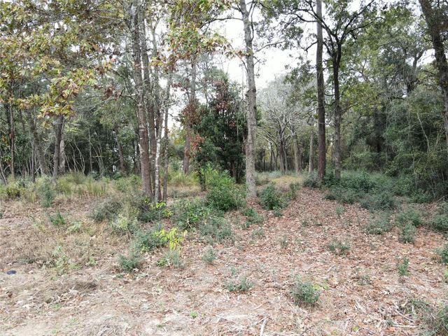 106 Ebner Lake Front Drive, Montgomery, TX 77316