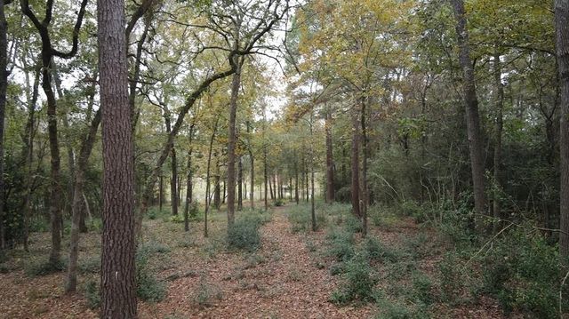 106 Ebner Lake Front Drive, Montgomery, TX 77316