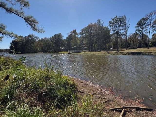 106 Ebner Lake Front Drive, Montgomery, TX 77316