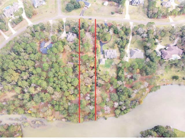 106 Ebner Lake Front Drive, Montgomery, TX 77316