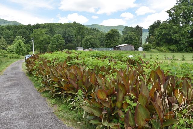 126 Bolo Lane, Hayesville, NC 28904