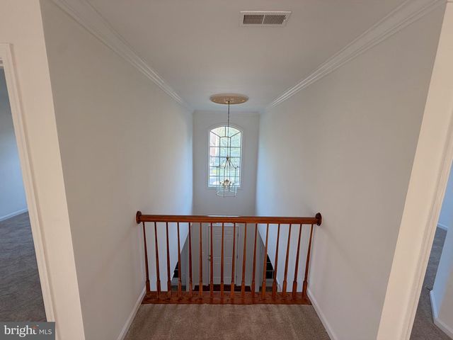 6542 ASHBY GROVE LOOP, Haymarket, VA 20169