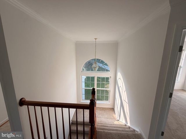 6542 ASHBY GROVE LOOP, Haymarket, VA 20169