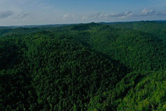 0 Oscar Wagers Road, Manchester, KY 40962