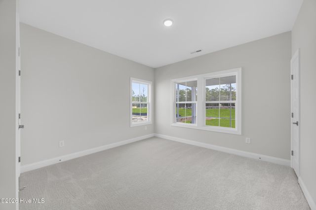 4102 Sea Salt Street 98, Leland, NC 28451