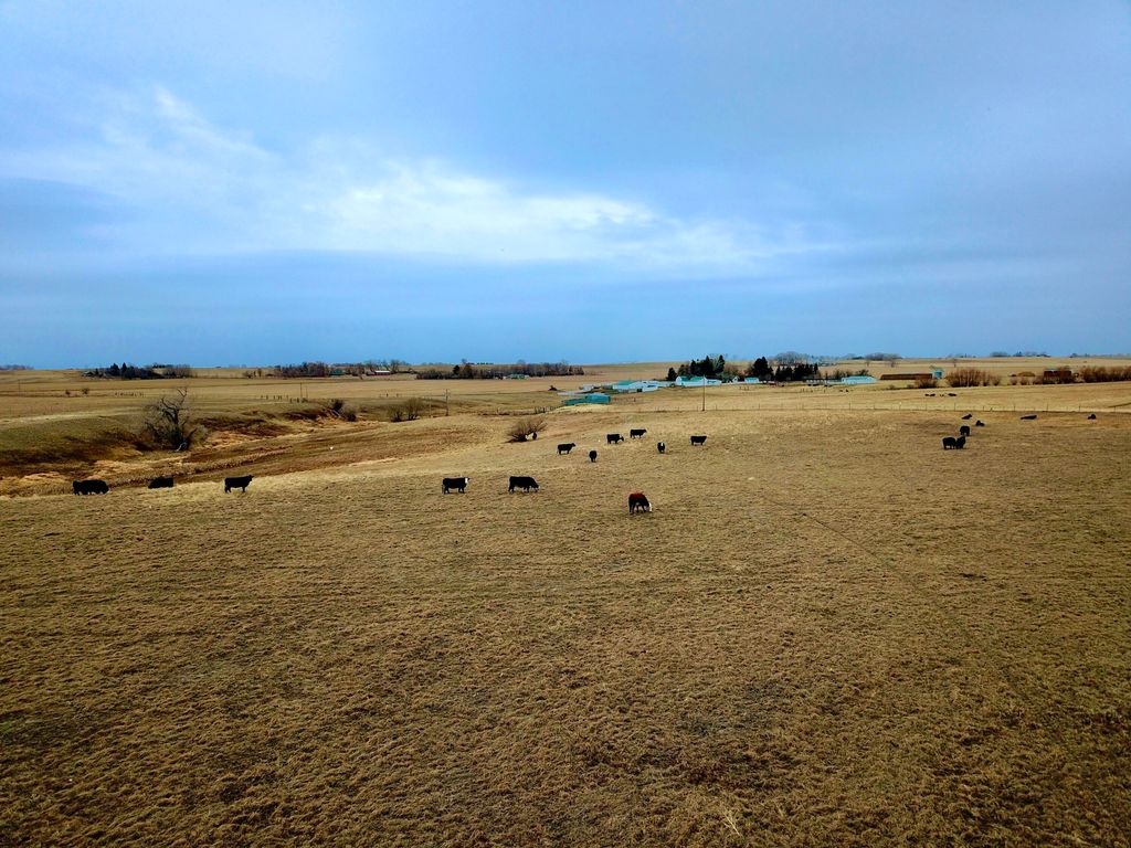 1481 Countyline RD, Other - See Remarks, MT 59487 photo 13