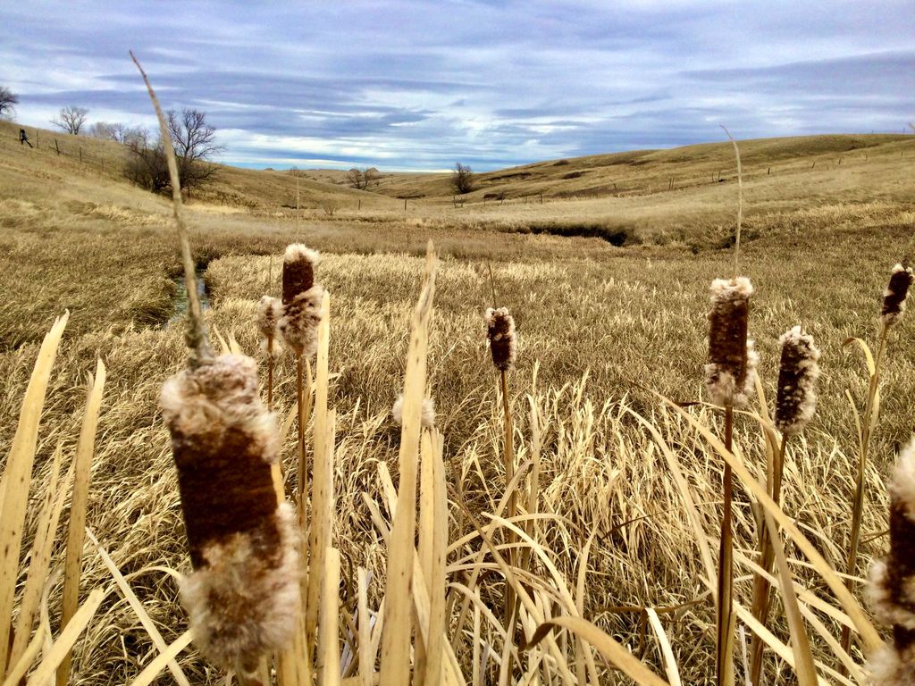 1481 Countyline RD, Other - See Remarks, MT 59487 photo 27