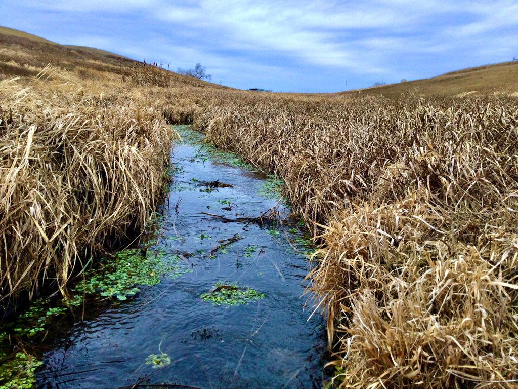 1481 Countyline RD, Other - See Remarks, MT 59487 photo 8