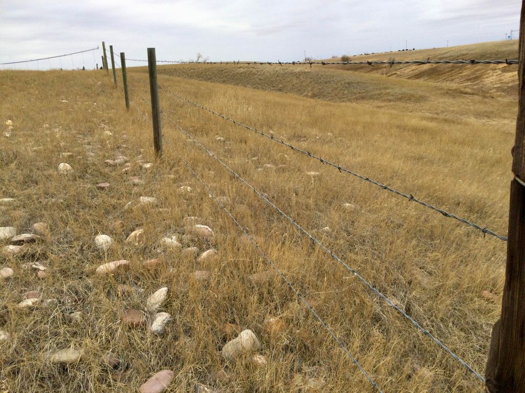 1481 Countyline RD, Other - See Remarks, MT 59487 photo 9