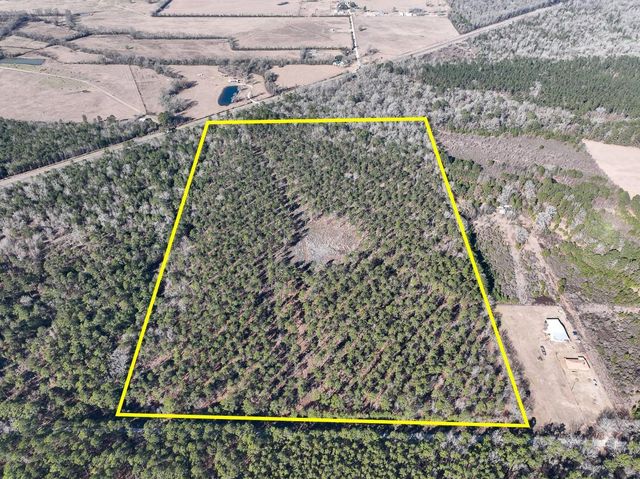 T-6 Highway 287, Pennington, TX 75845