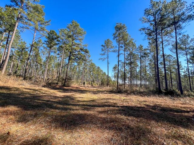 T-6 Highway 287, Pennington, TX 75845