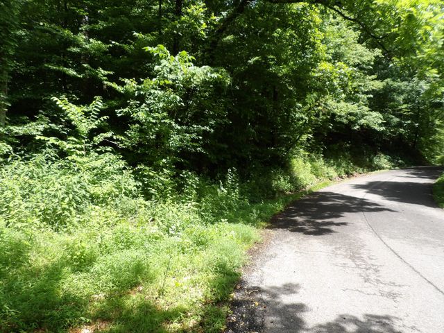 0 East Blue Creek Road, Mc Ewen, TN 37101