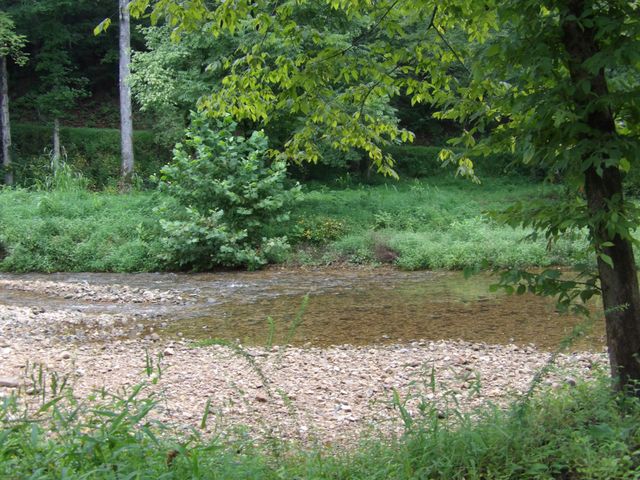 0 East Blue Creek Road, Mc Ewen, TN 37101
