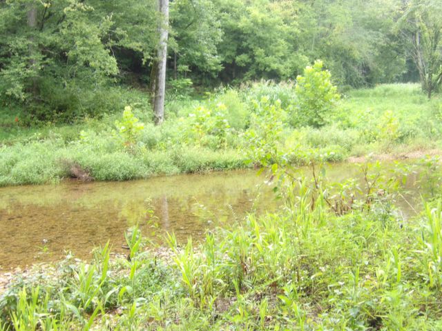 0 East Blue Creek Road, Mc Ewen, TN 37101