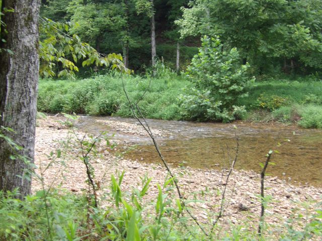0 East Blue Creek Road, Mc Ewen, TN 37101