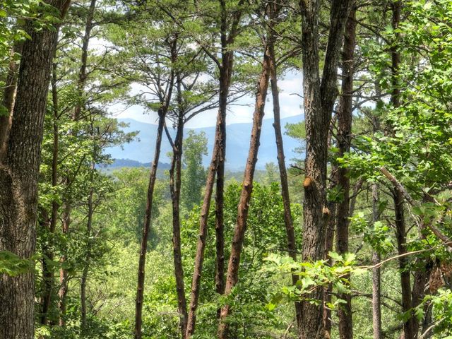 58 Whitetail Holw, Morganton, GA 30560