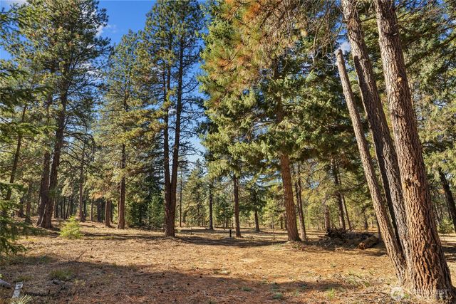 101 Book Lane, Cle Elum, WA 98922