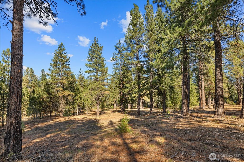 101 Book Lane, Cle Elum, WA 98922