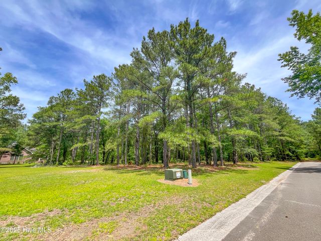 104 River Woods Drive, Wallace, NC 28466