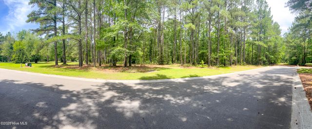 104 River Woods Drive, Wallace, NC 28466