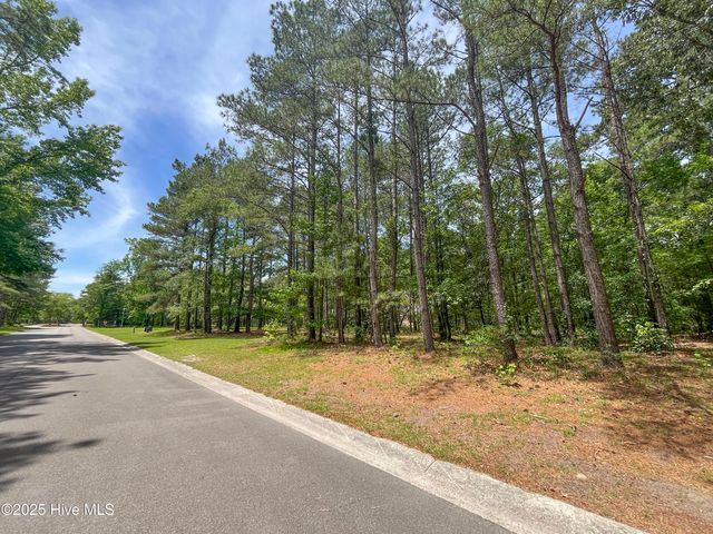 104 River Woods Drive, Wallace, NC 28466
