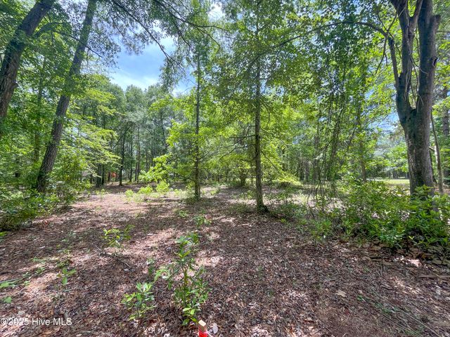 104 River Woods Drive, Wallace, NC 28466