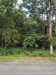 Forfar Drive, Bella Vista, AR 72715