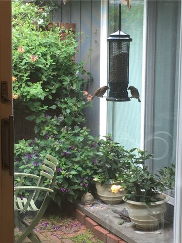 5 Tobey Woods, Pittsford, NY 14534