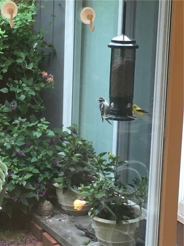 5 Tobey Woods, Pittsford, NY 14534