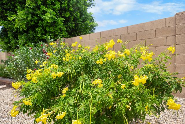 8352 W MOLLY Lane, Peoria, AZ 85383