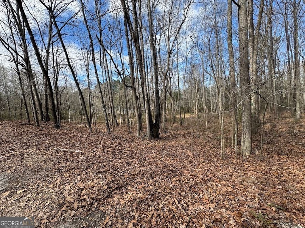238 Oak Ridge Drive, Carrollton, GA 30116