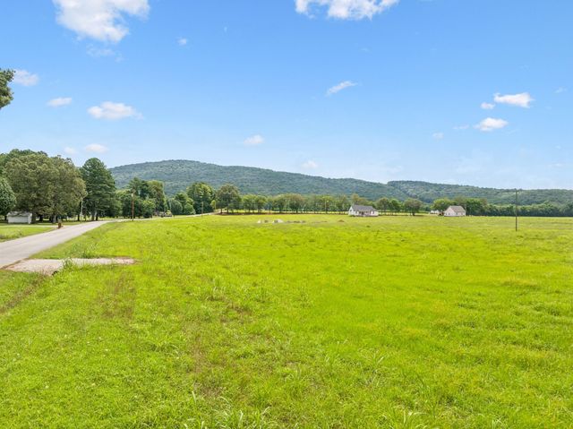 0 Blue Springs Road Tract 2 & 3, Decherd, TN 37324