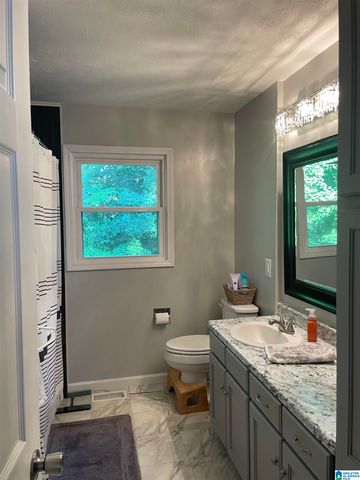 161 SPRING TRAIL, Warrior, AL 35180