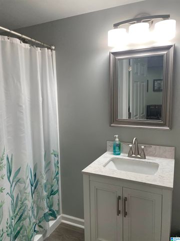 161 SPRING TRAIL, Warrior, AL 35180