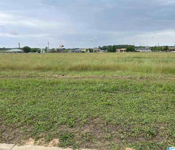 44 B BEVERLY DRIVE, Calera, AL 35040