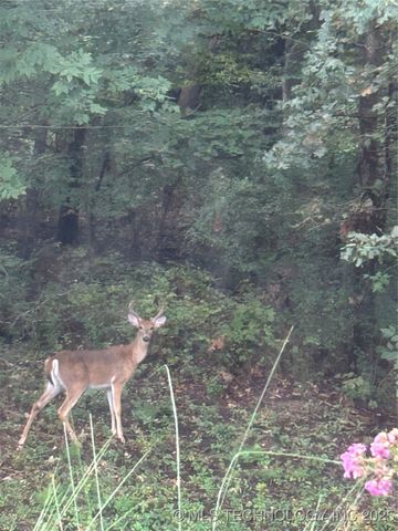 2125 W 73rd Street, Tulsa, OK 74132