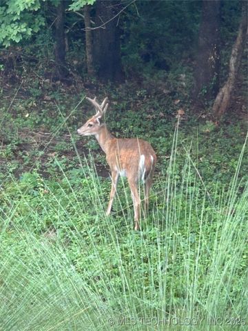 2125 W 73rd Street, Tulsa, OK 74132