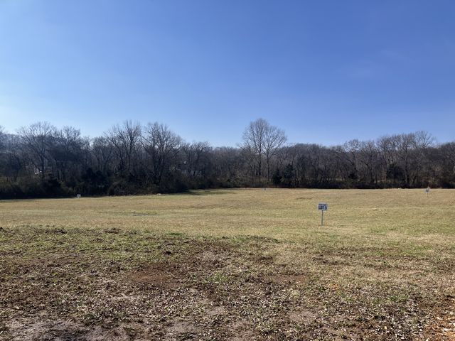 3341 Booker Ridge Rd, Mount Pleasant, TN 38474
