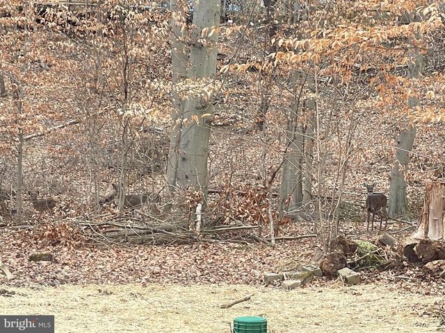 43 THE HORSESHOE, Newark, DE 19711