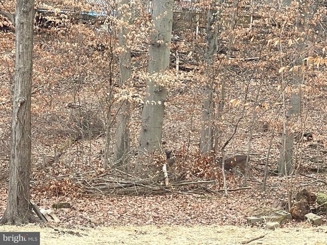 43 THE HORSESHOE, Newark, DE 19711