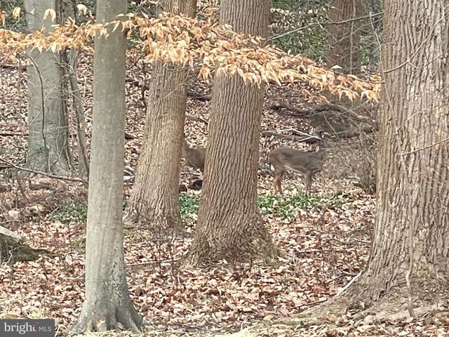 43 THE HORSESHOE, Newark, DE 19711