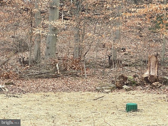 43 THE HORSESHOE, Newark, DE 19711