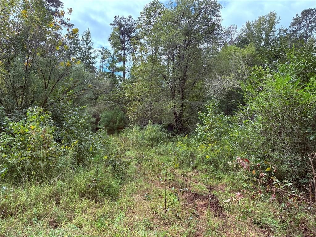 80 Sanders Creek Road, Tallapoosa, GA 30176